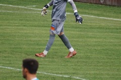 82-DSC07471