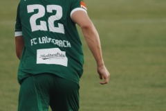 10-DSC08191