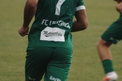 119-DSC06594