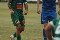 131-DSC06378