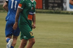 132-DSC06374