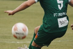 19-DSC08074