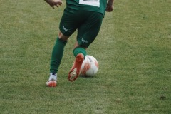 25-DSC07921