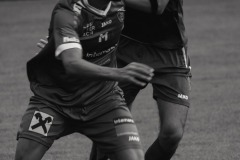 80-DSC07147