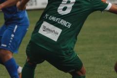 82-DSC07141