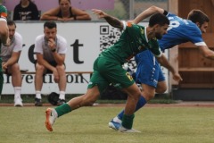87-DSC07085