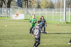 DSC08186