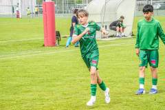 DSC09831-Kopie