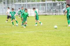 DSC09860-Kopie