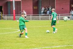 DSC09865-Kopie