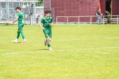 DSC09912-Kopie