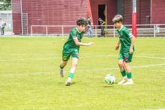 DSC09919-Kopie