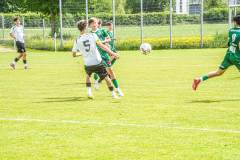 DSC09952-Kopie