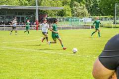 DSC09954-Kopie