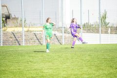 DSC09065