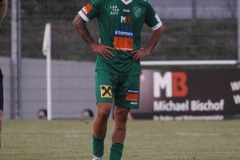 12-DSC05528