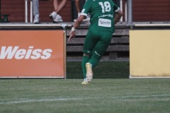 35-DSC05133
