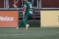 36-DSC05130