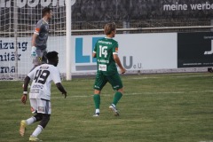 38-DSC05054