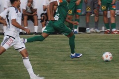 41-DSC04915