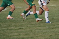 44-DSC04807