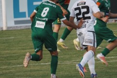 45-DSC04786
