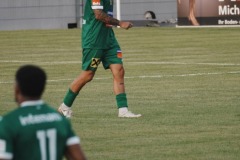 47-DSC04751