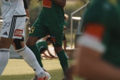 75-DSC03762