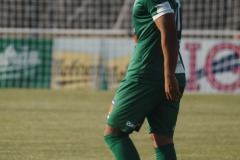 84-DSC03525
