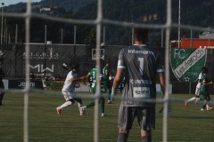91-DSC03398